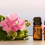 10 Geranium Oil Benefits for Healthy Skin and More