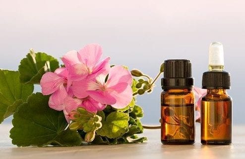 10 Geranium Oil Benefits for Healthy Skin and More