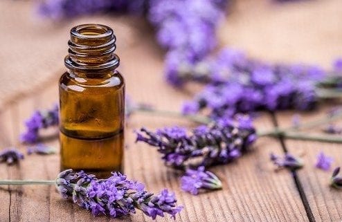 13 Surprising Benefits of Lavender Essential Oil