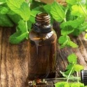 25 Ways to Enjoy the Benefits of Peppermint Essential Oil
