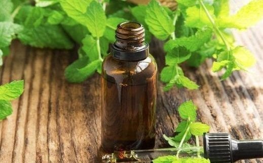 25 Ways to Enjoy the Benefits of Peppermint Essential Oil