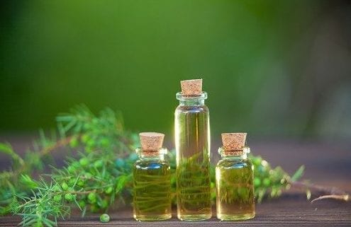 Top 10 Tea Tree Oil (Melaleuca) Uses and Benefits