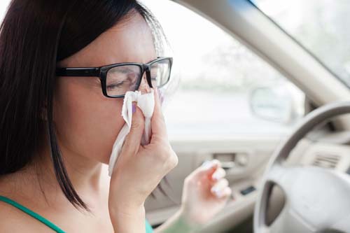 Peppermint for sinus relief