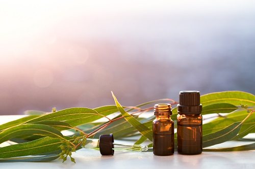 5 Essential Oil Must-Haves for Cold & Flu Season