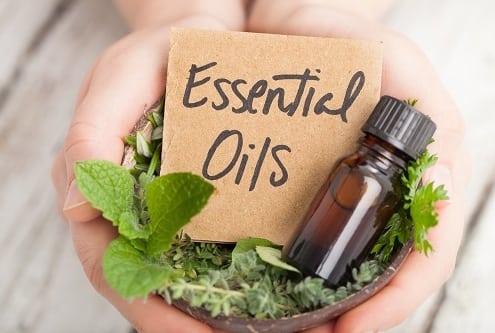 Close up of essential oils in hands with herbs
